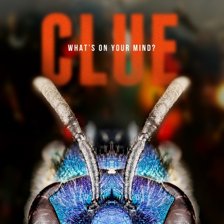 CLUEWhats on you mind 2014_450.jpg