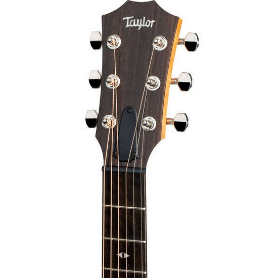 taylor guitars taylor gt urban ash acoustic head 550x