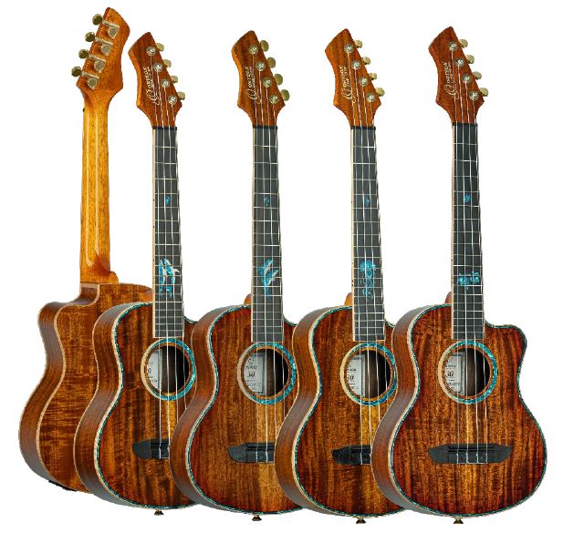 ORTEGA 30th uku