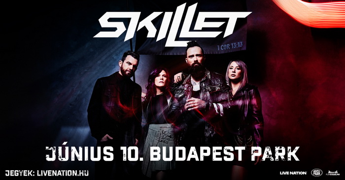 487008859 1095680785909460 Skillet