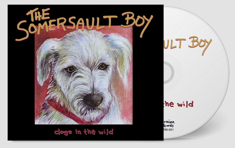 somersault boy magyar RSD kiadvany 750x