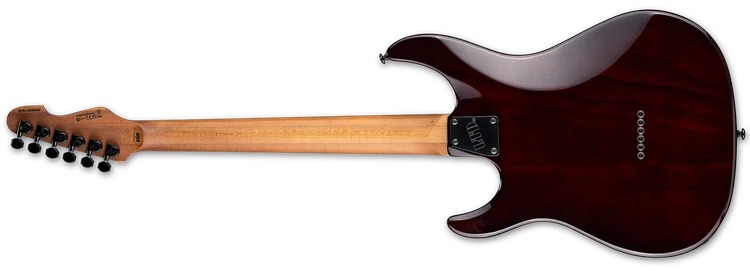 SN 1000HT Dark Brown Sunburst back