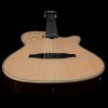 Godin Multiac
