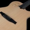 Godin Multiac
