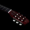 Godin Multiac