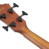 Ibanez AEGB24E