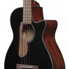 Ibanez AEGB24E