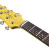 Ibanez YY20