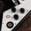 Kirk Hammett 1979 Flying V