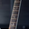 PRS Sculpture Custom 24